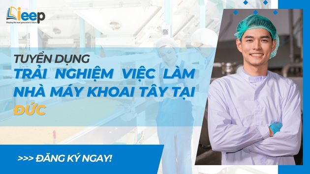 Web IEEP KHOAI TAY.jpg